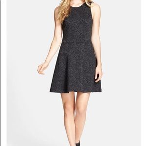 LIKE NEW Joie Fit and Flare “Glynnis B” Dress